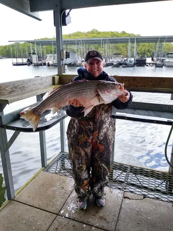 Person holding a large striped bass fish on a dock. Marina in background.