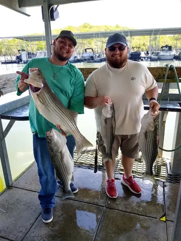 Two men smiling and holding striped bass on a dock near boats.
