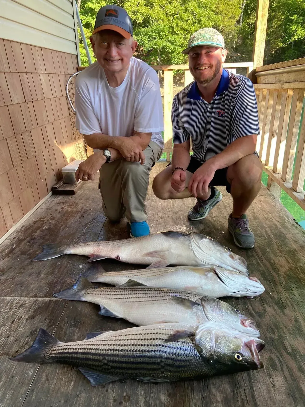 Two men crouch beside three striped bass on a wooden deck. One man wears a white shirt, the other a striped shirt.