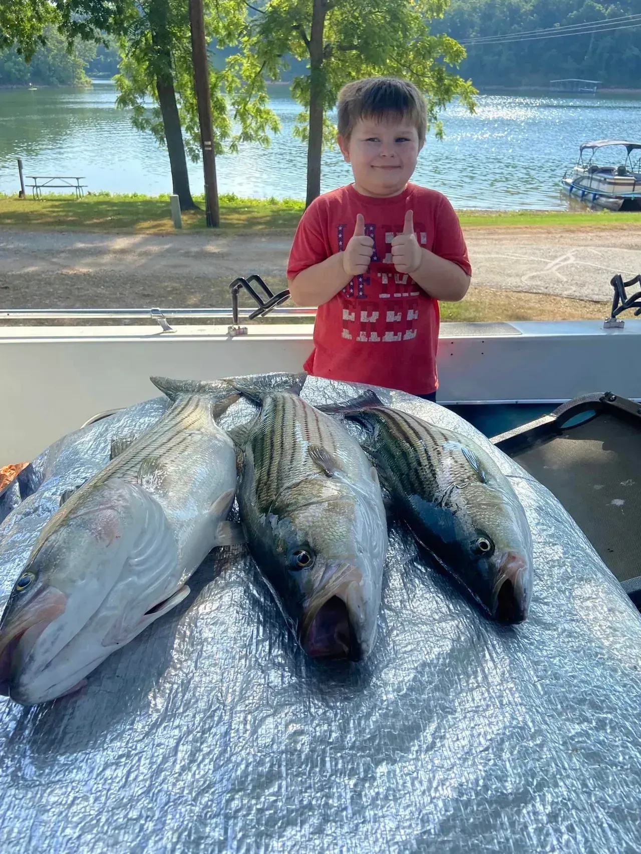 Boy with thumbs up, stands by table with three striped fish at lake.