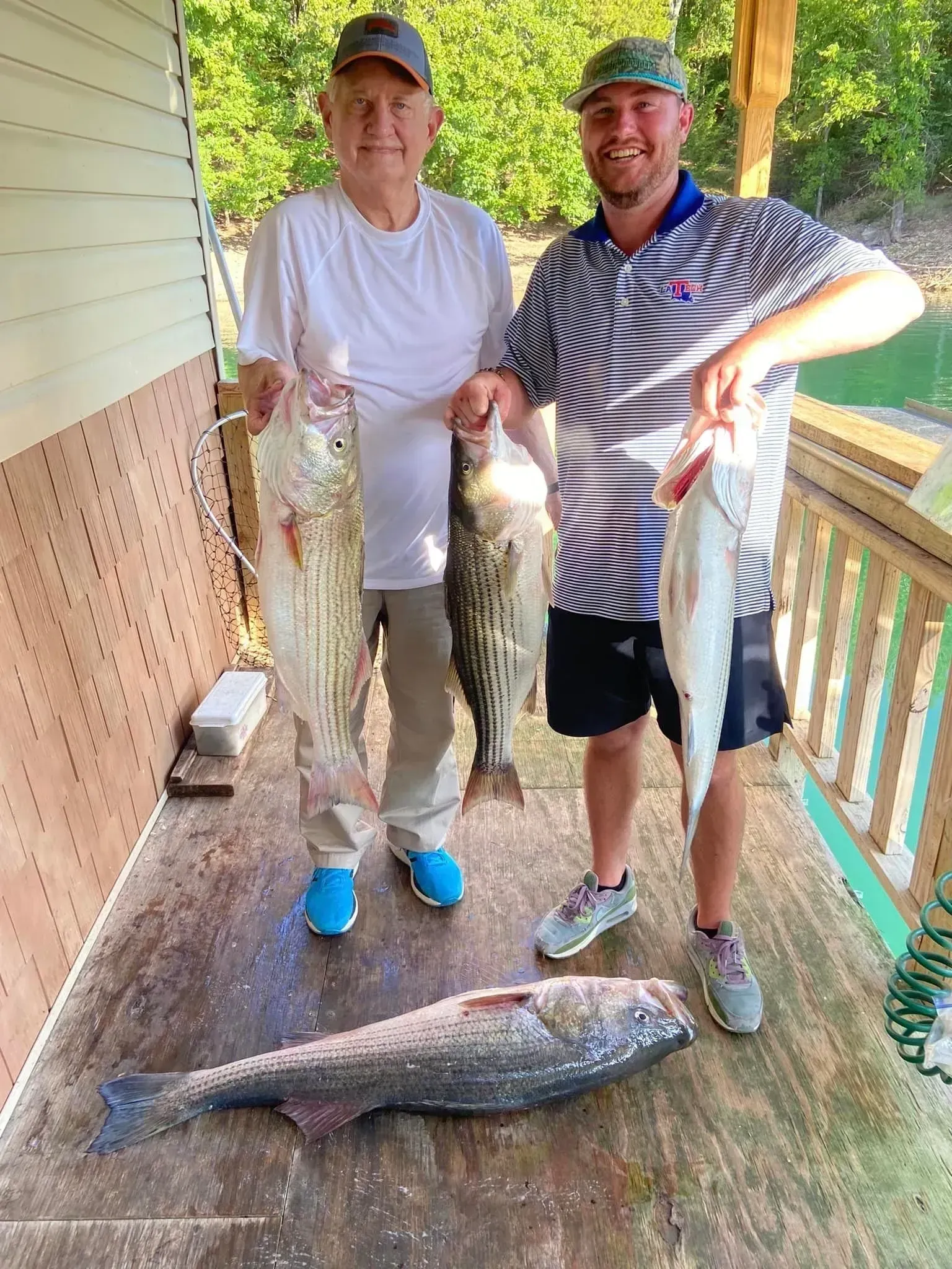 Two men holding striped bass, one on a deck. A large fish lies on the floor. Lake in background.