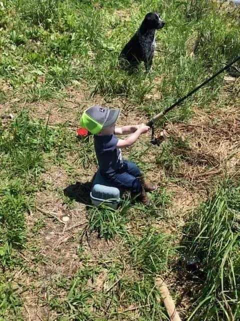Child fishing, sitting on a tackle box. Dog watches from grassy hill.