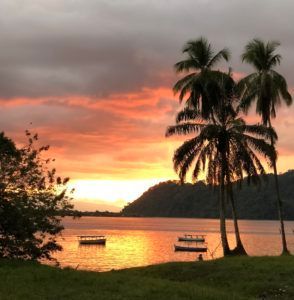 A sunset over a body of water with palm trees in the foreground