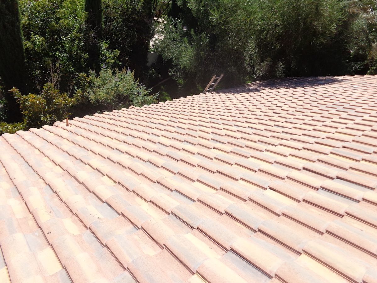 A close up of a tiled roof with trees in the background