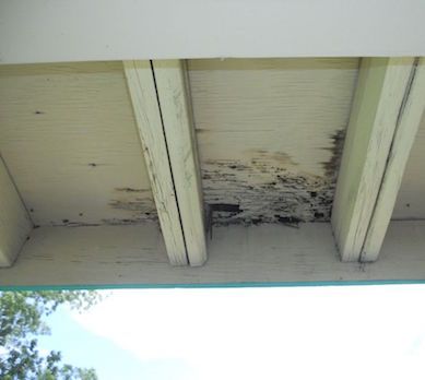 The ceiling of a building with a lot of mold on it.