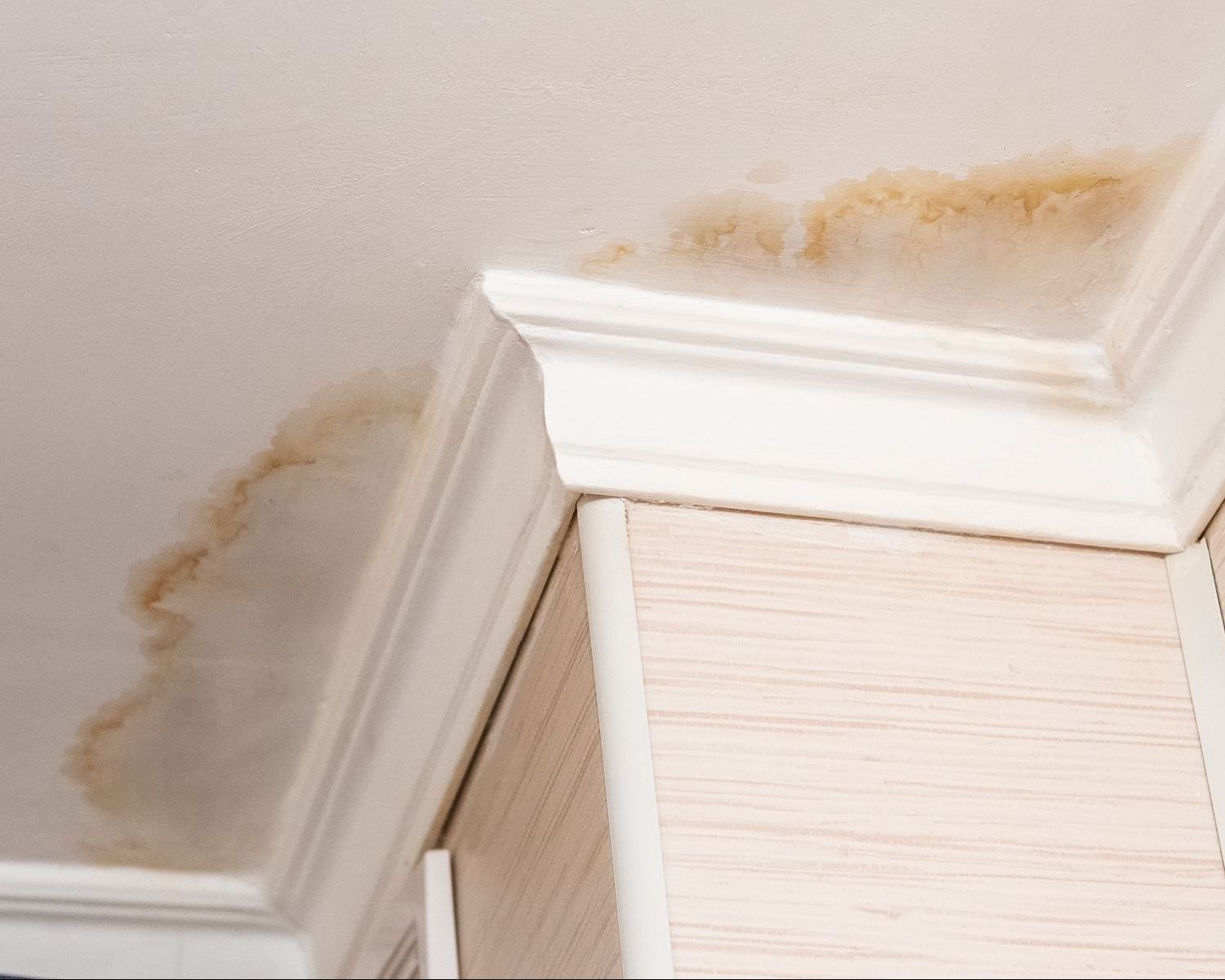 A corner of a ceiling with a stain on it.