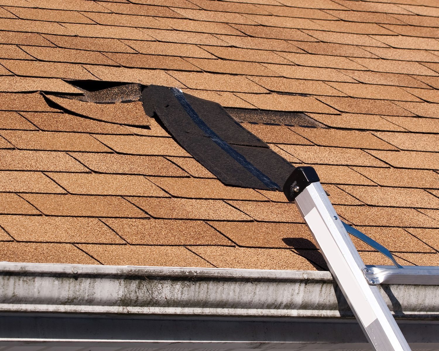 A ladder is leaning against a roof with a missing shingles