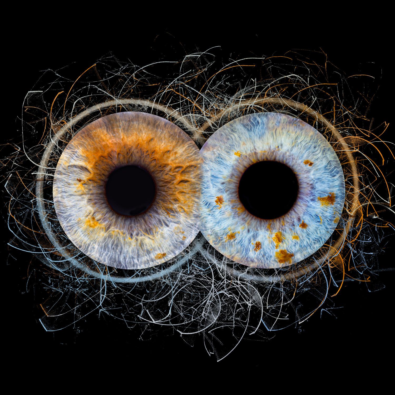 Irisfotografie-irisphotography-irisart-irisfoto