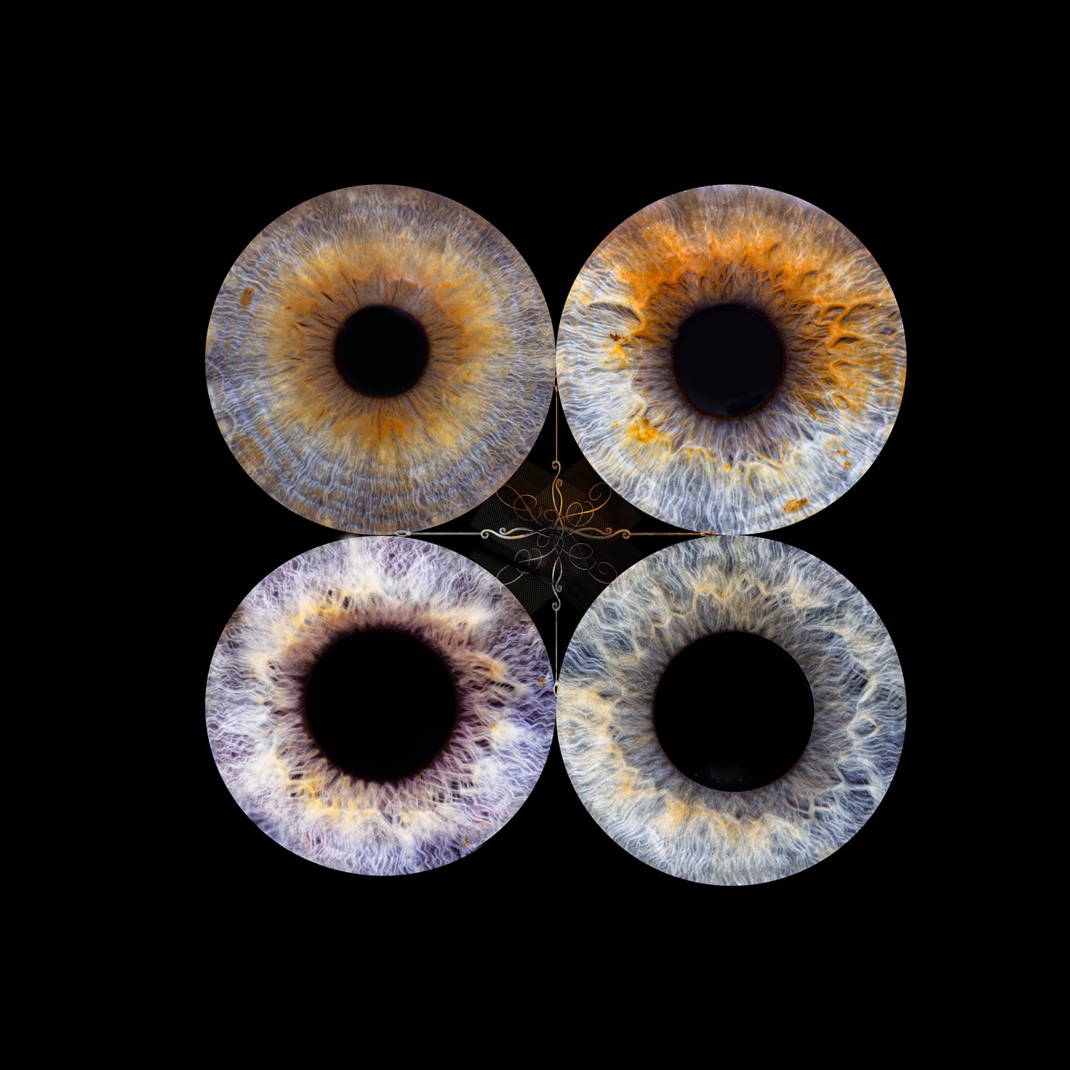 Irisfotografie-irisphotography-irisart-irisfoto