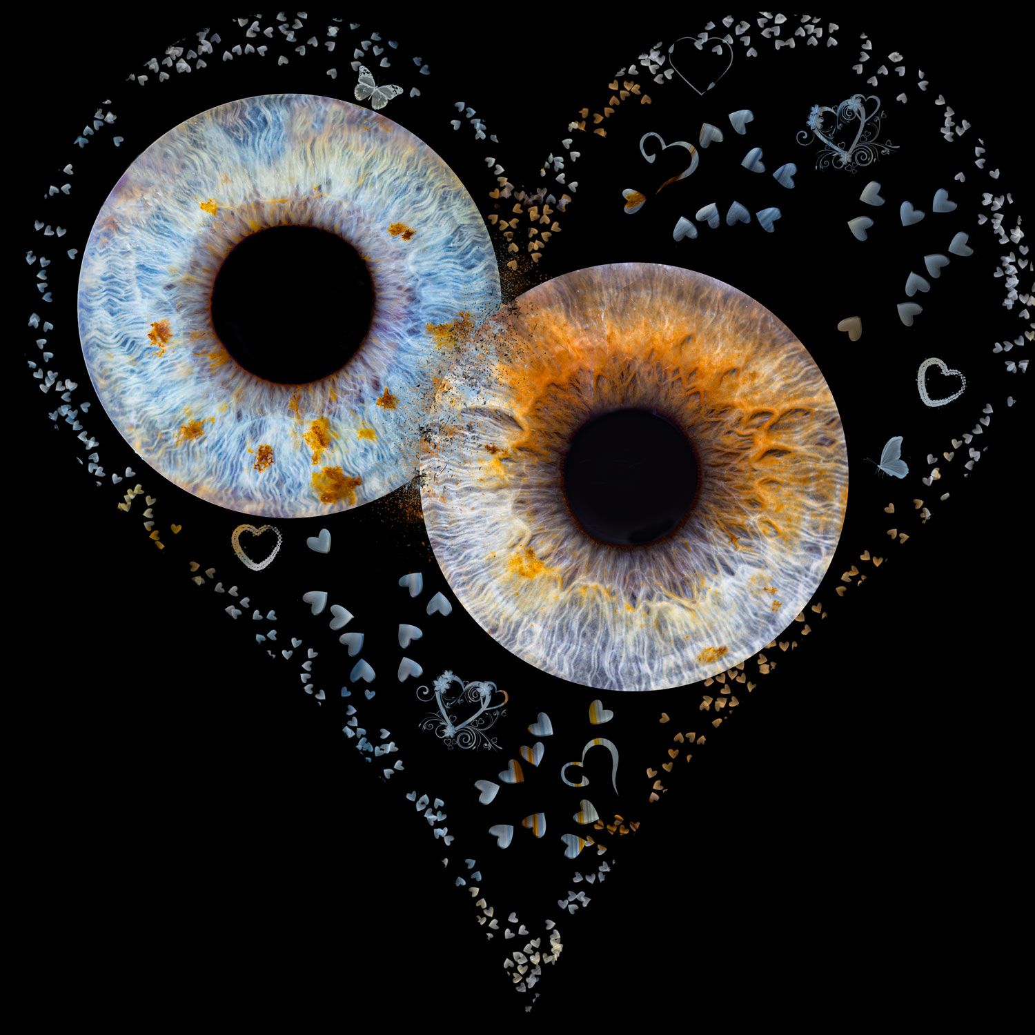 Irisfotografie-irisphotography-irisart-irisfoto