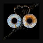 Irisfotografie-irisphotography-irisart-irisfoto
