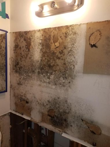 Bathroom wall with extensive mold and water damage beneath a light fixture