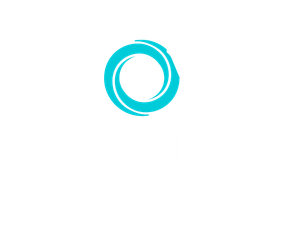 FlowState