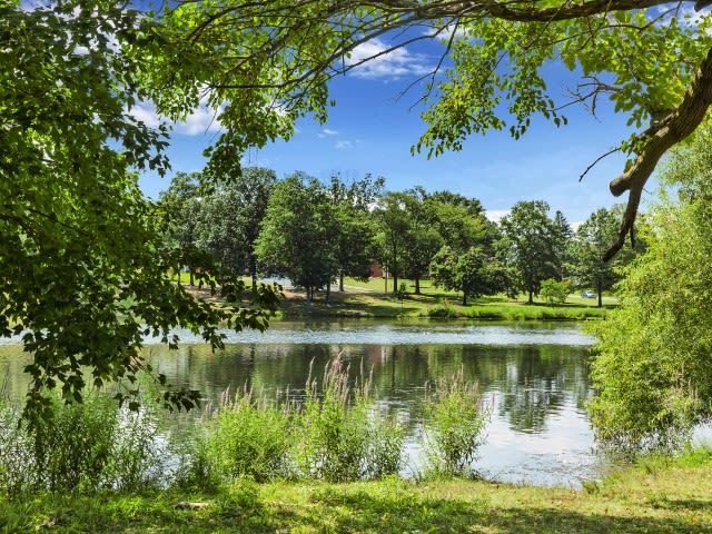 Pond with surrounding trees and grassy banks in a park setting at Holly Court, offers apartments in Pitman, NJ.