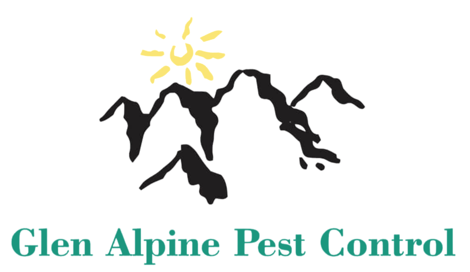 Trusted & Safe Pest Control & Termite Services in NSW