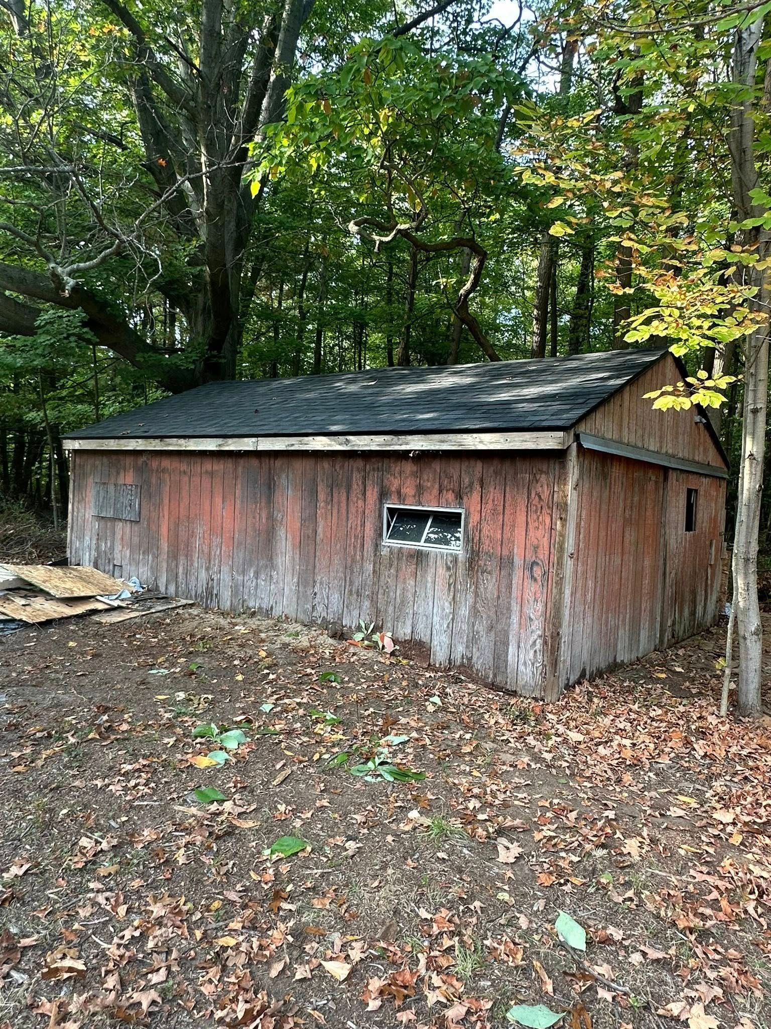 Weathered red shed in a wooded area, surrounded by fallen leaves and trees.