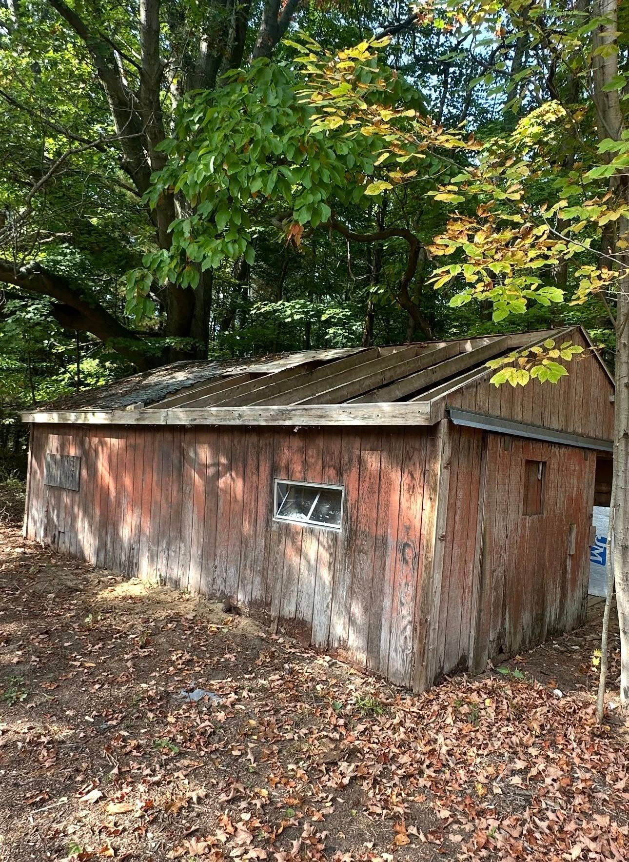 Weathered wooden shed in a leafy forest, with a slanted roof and fallen leaves on the ground.