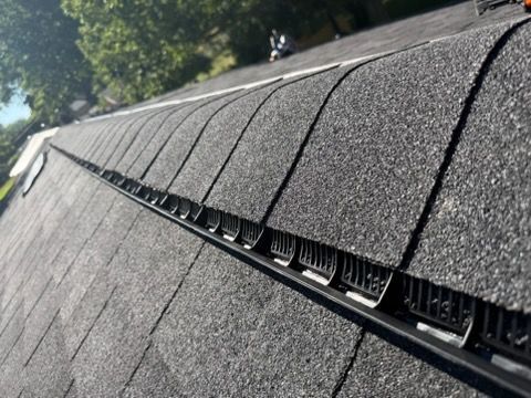 Close-up of a shingled roof with a ridge vent and sunlight filtering through trees nearby