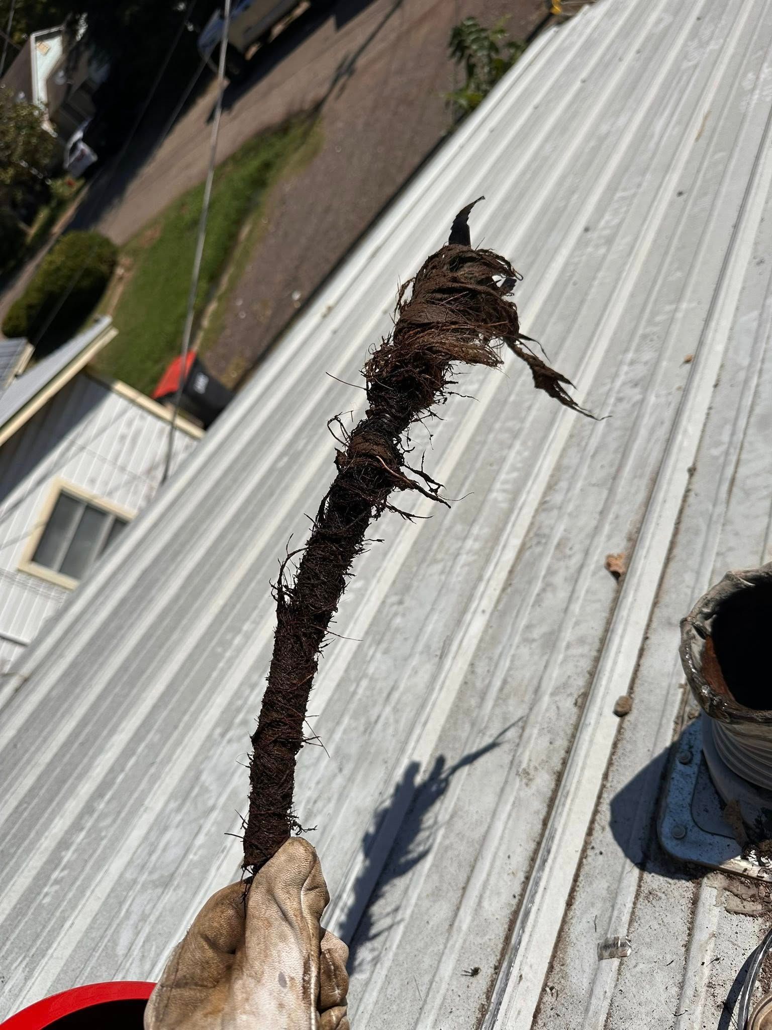 A gloved hand holds a long, dark, debris-filled clump pulled from a gutter on a metal roof.