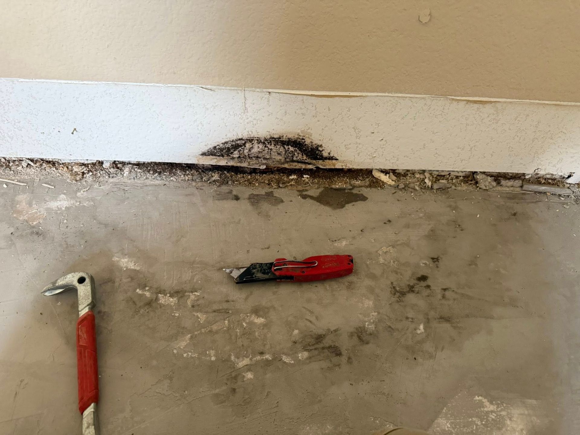 A floor-level view shows a red pry bar and utility knife on a concrete floor before a baseboard with a dark mold patch.