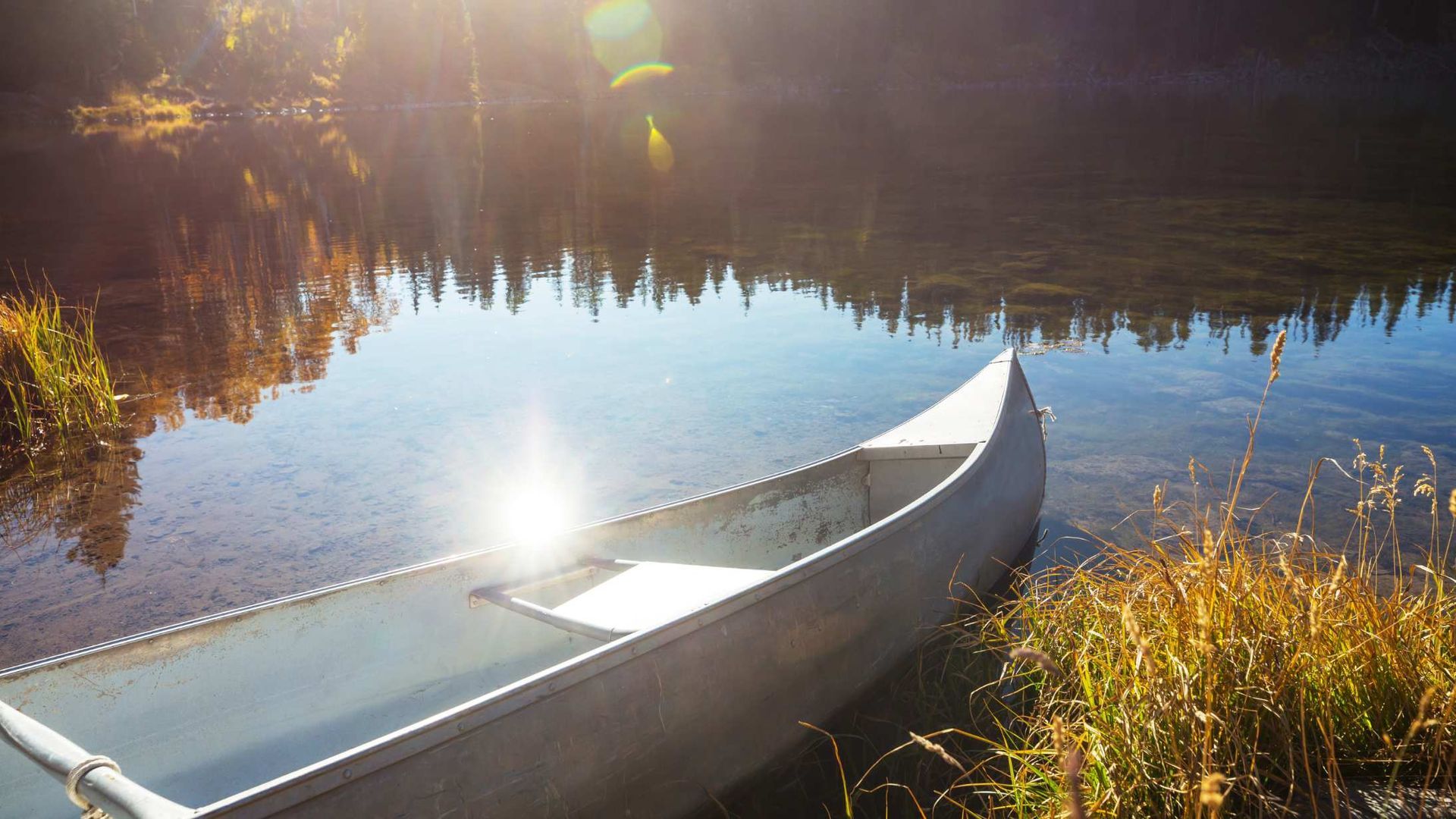 Canoe on a calm lake at sunrise, with golden reeds and bright reflections on the water.