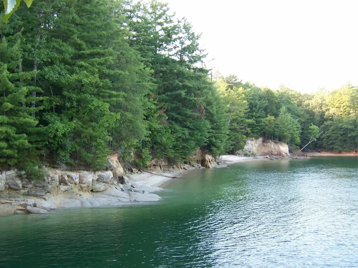 Rocky forest shoreline beside a calm green-blue lake under bright daylight