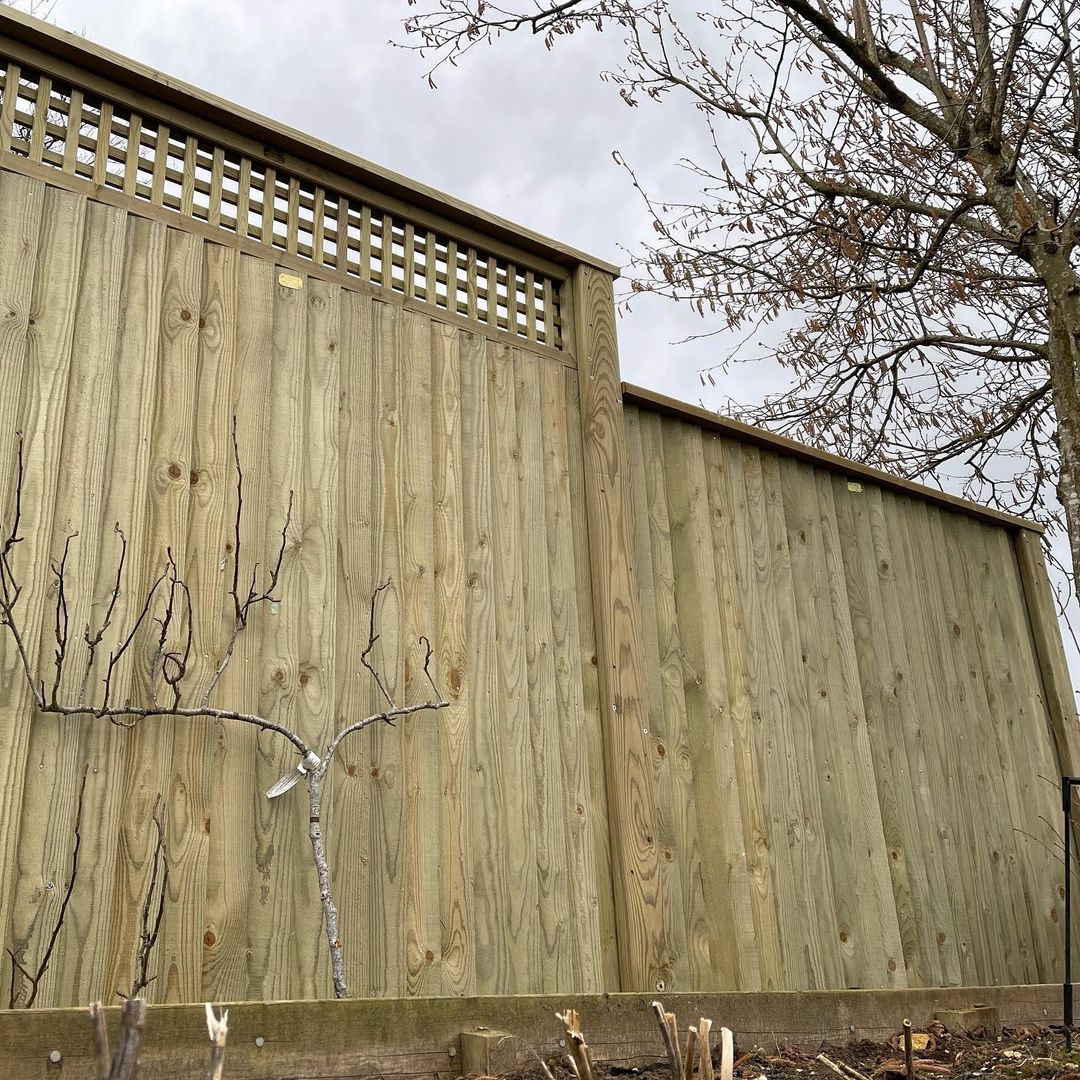 Lattice trellis fence panels Sheffield