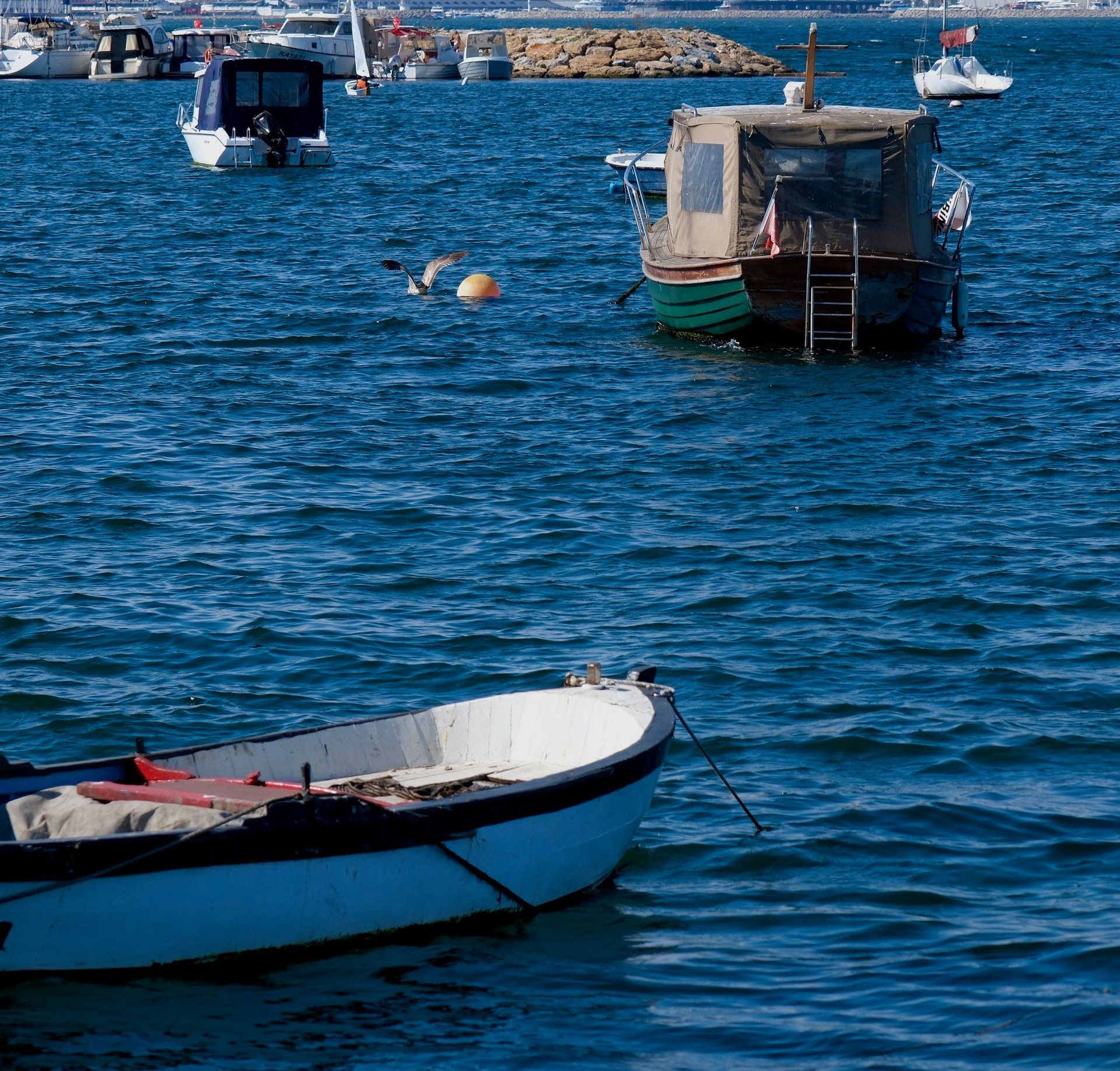 boats in water