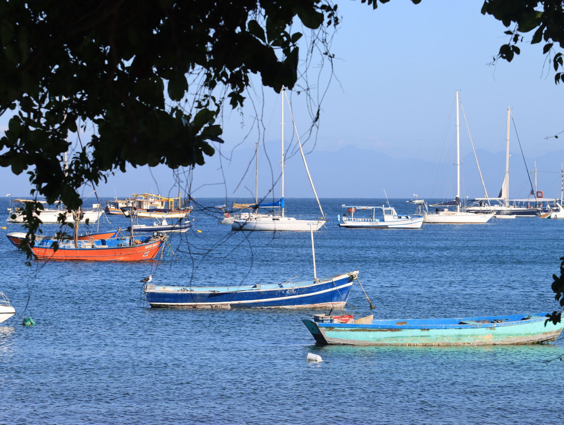 boats