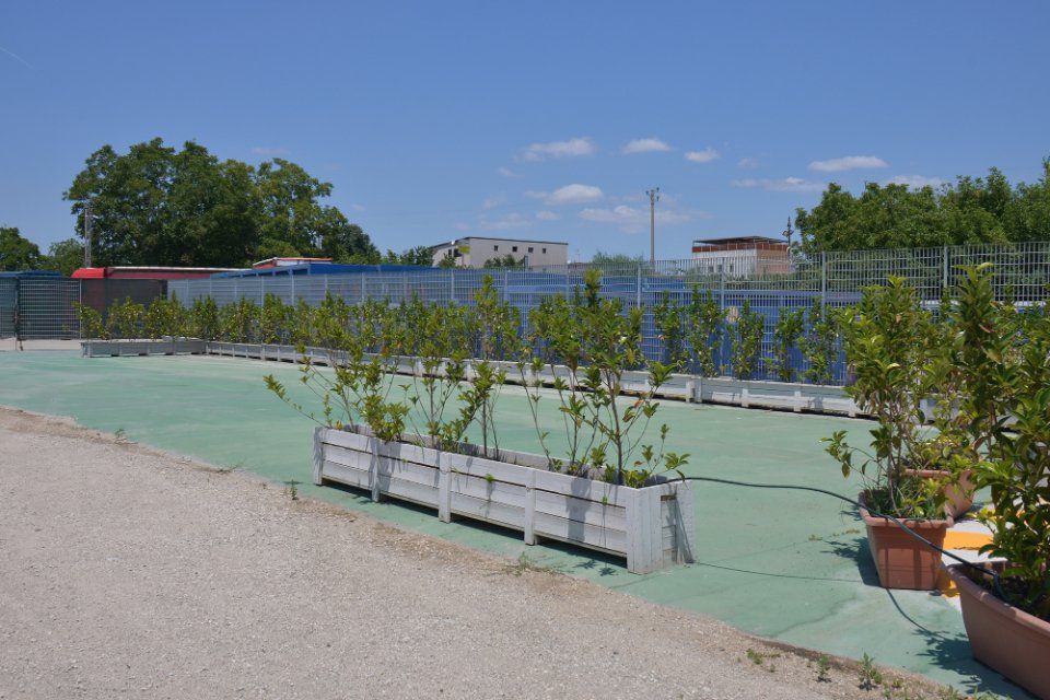 Spazio con piante