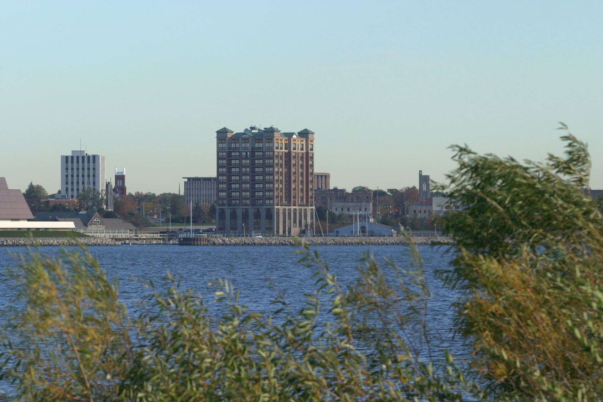 Skyline of Milwaukee, Wisconsin with buildings against a blue sky, viewed over water and wind-blown foliage.