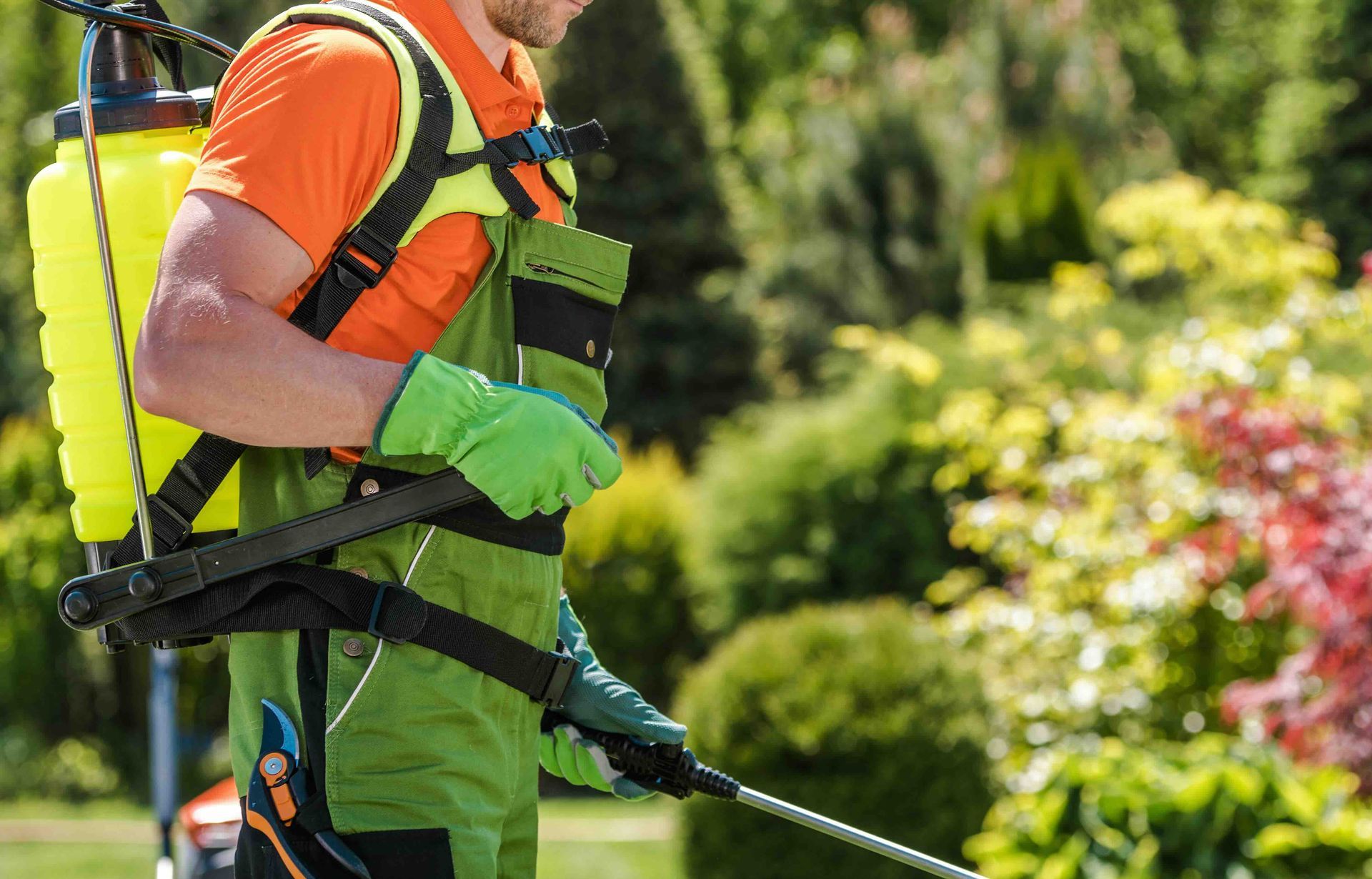 a man wearing green overalls and an orange shirt is spraying something in a garden