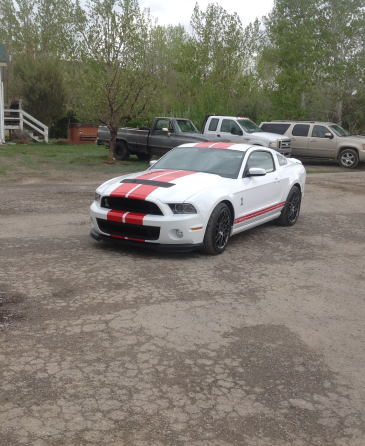 A white mustang with red stripes is parked in a parking lot | Wind River Auto & Diesel