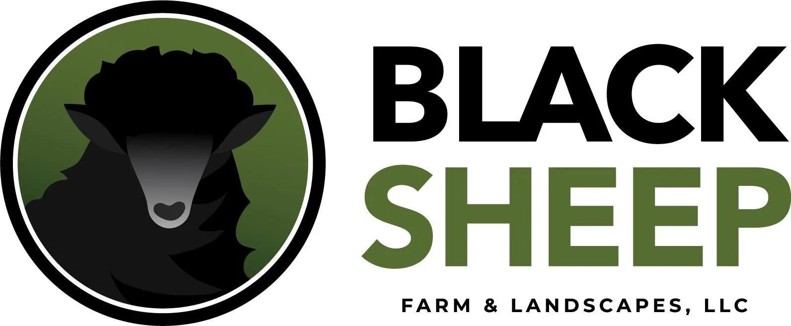 Black Sheep Lawn and Landscape Black Sheep Lawn and Landscape