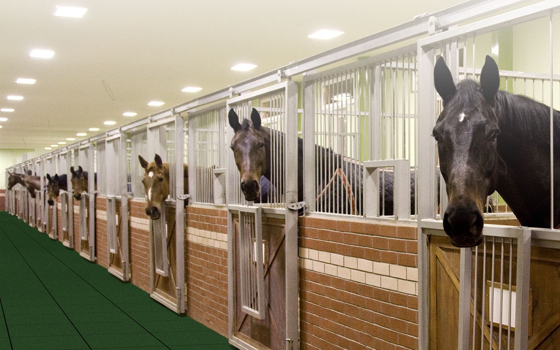Horse Stall Mats, Equestrian Paver, EM Concepts