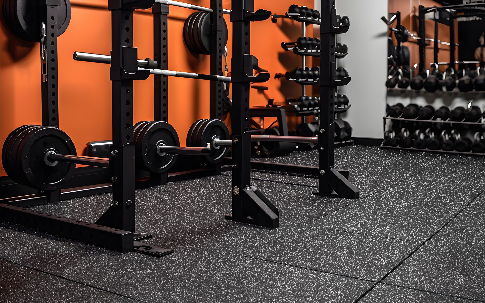 A gym filled with lots of dumbbells and barbells.