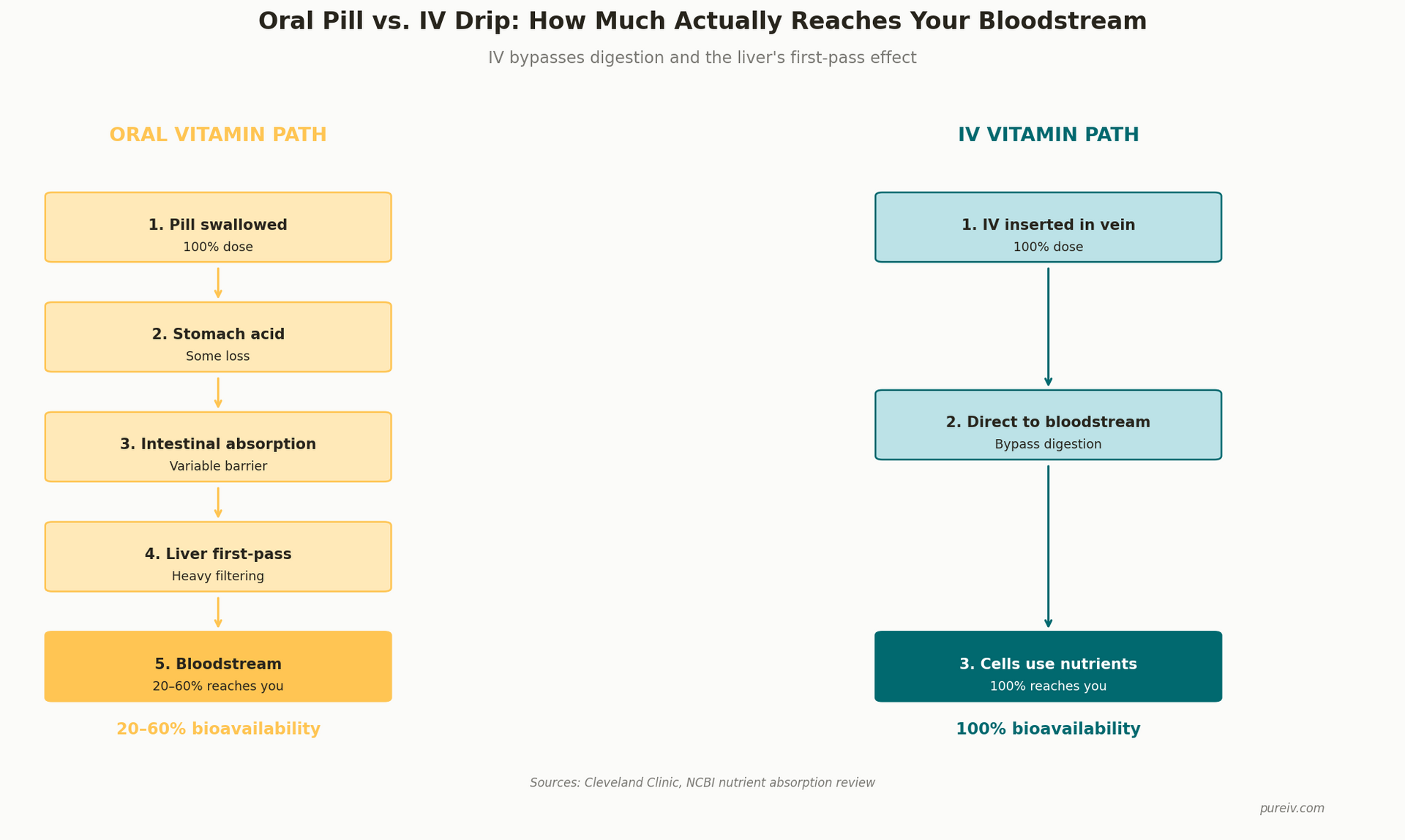 IV Vitamin Therapy: Benefits, Cost, and What to Expect
