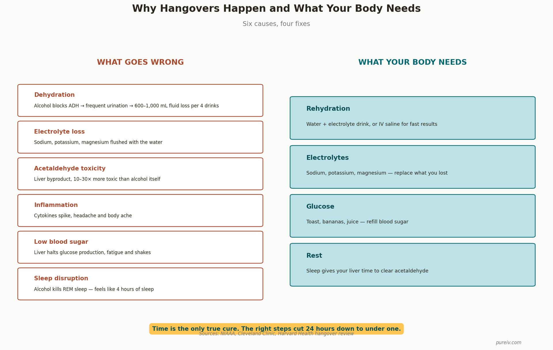 How to Cure a Hangover Fast: The Real Recovery Guide

