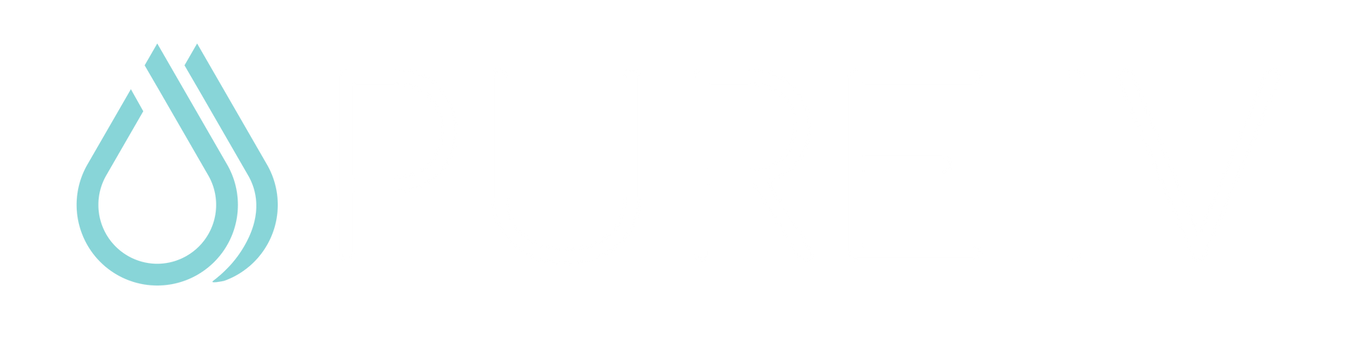 Pure IV Company Logo.