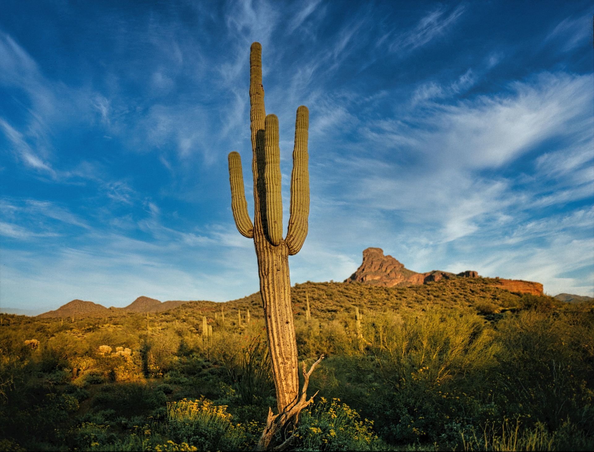 Top 10 Benefits of Mobile IV Therapy in Phoenix by Pure IV