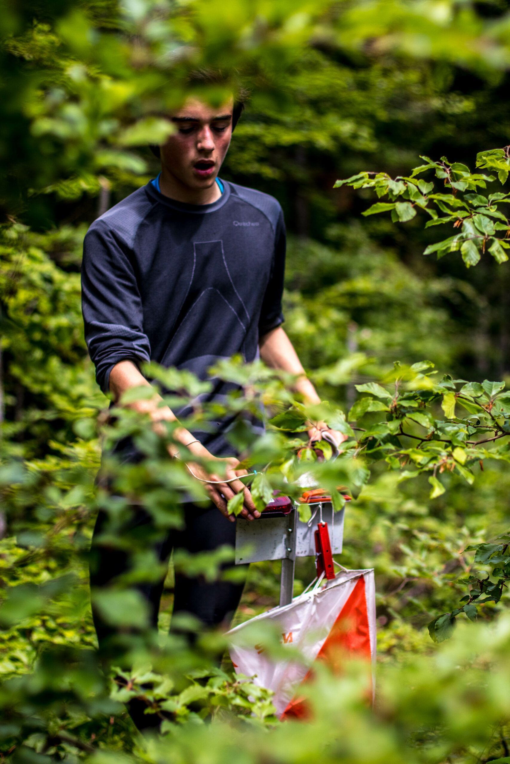 Un homme se tient debout dans les bois tenant un drapeau.