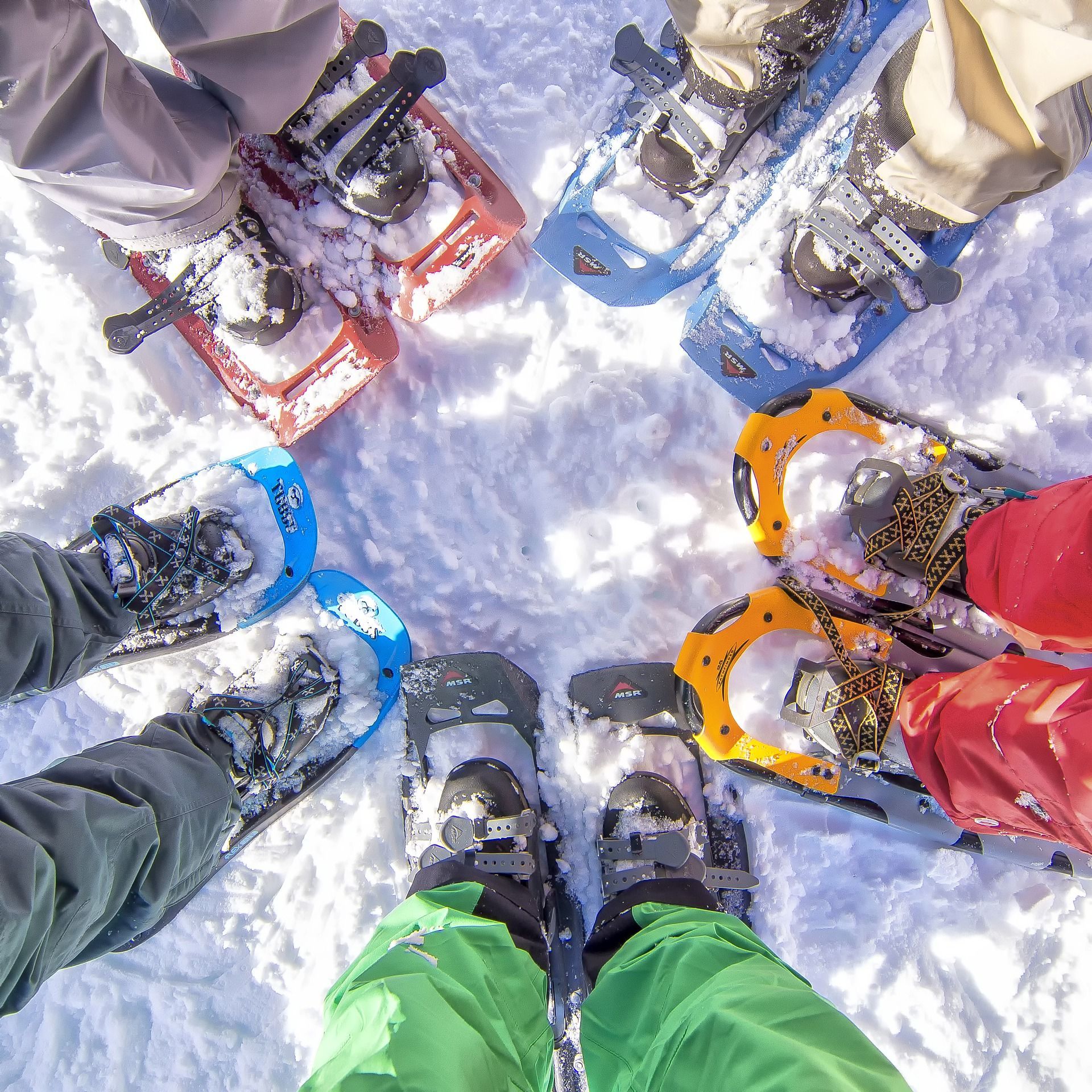 Un groupe de personnes gravit une montagne tandis qu'une chèvre regarde.