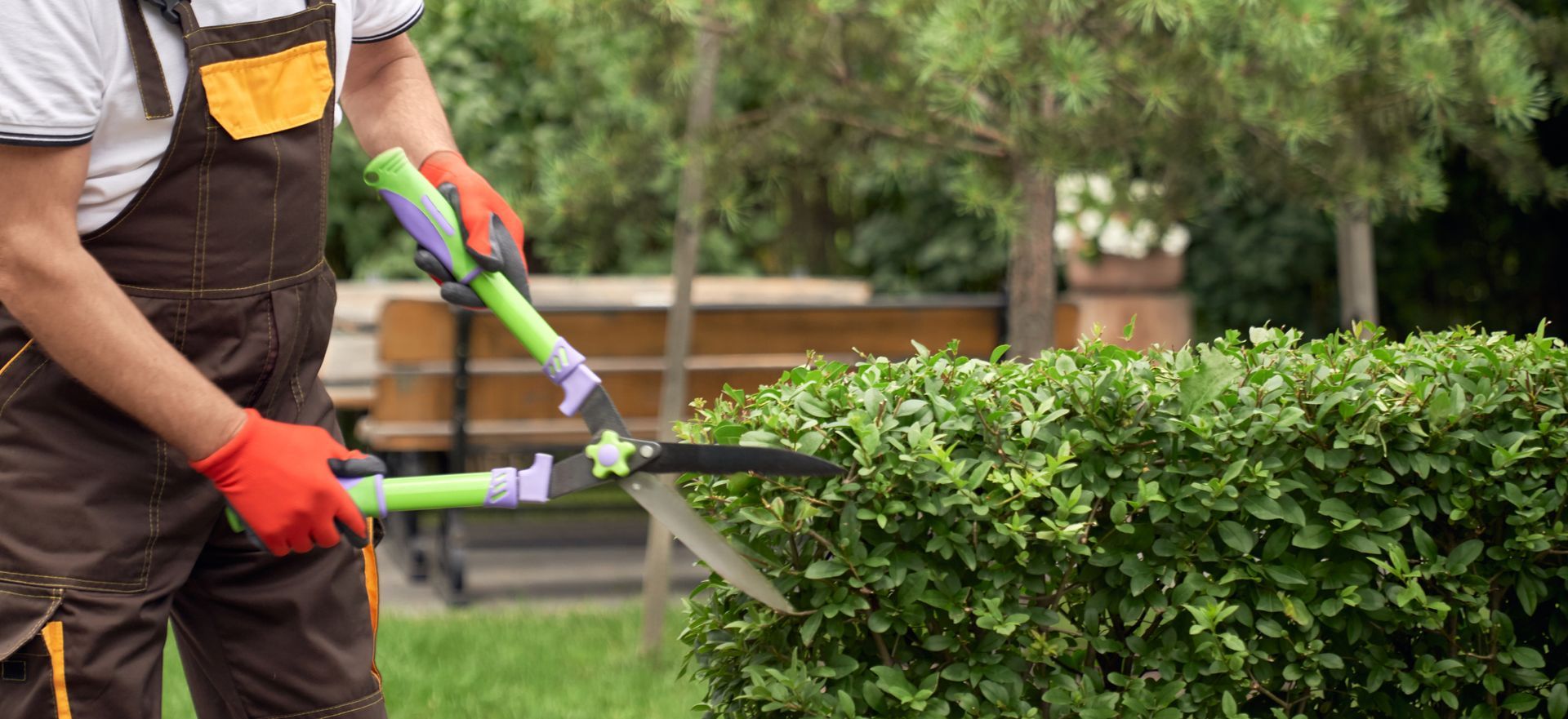 Expert tree trimming services showcased by a man in overalls in a vibrant backyard.