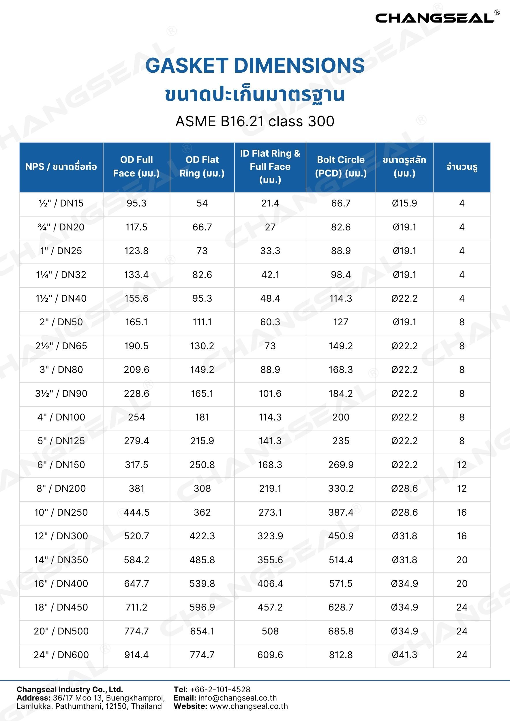 ASME B16.21 class 300