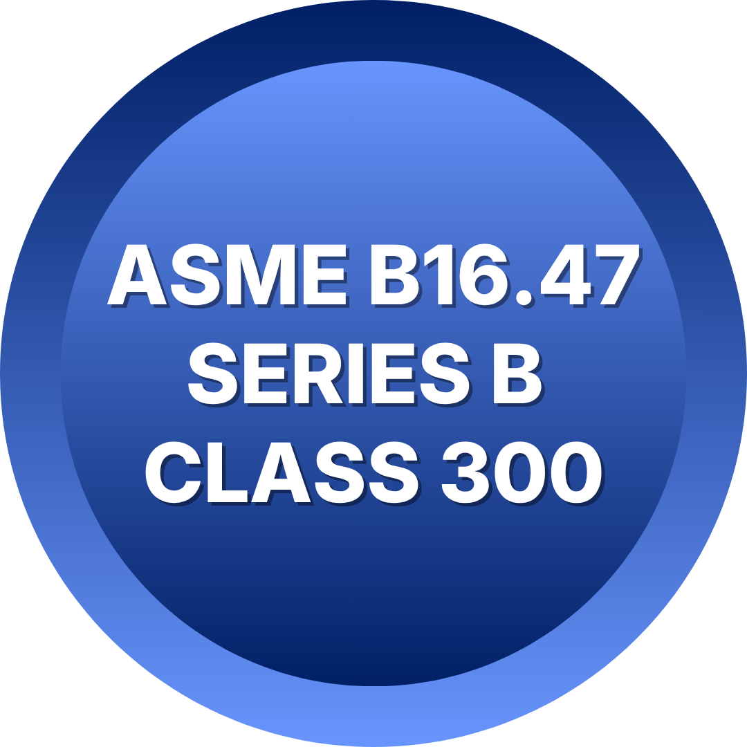 ASME B16.47 series B 
class 300