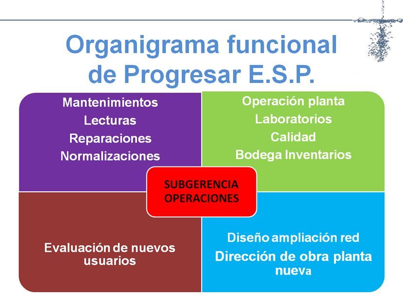 Un diagrama en español que dice organización funcional del progreso esp