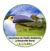 Un pájaro con un pico grande está en un círculo con una montaña en el fondo.