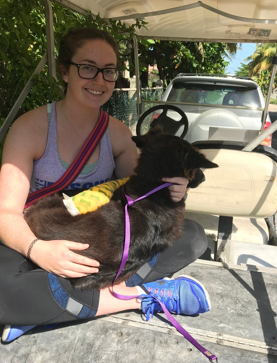 Woman in glasses holds black llama with a purple leash in a golf cart.