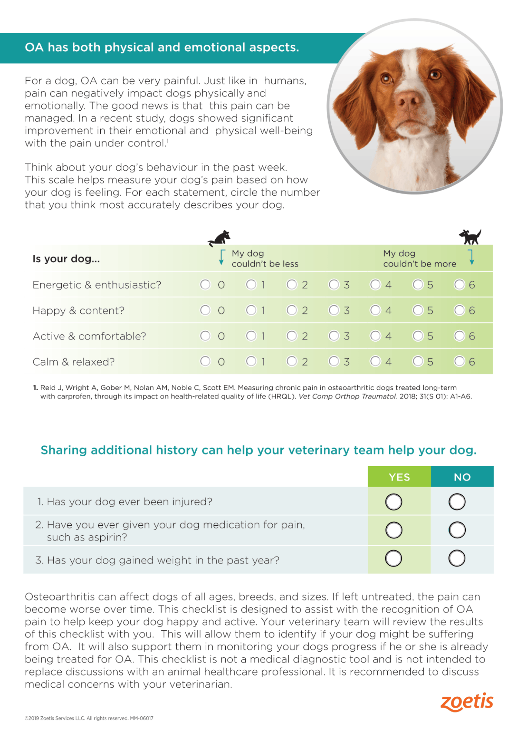 Canine OA Checklist Page 2