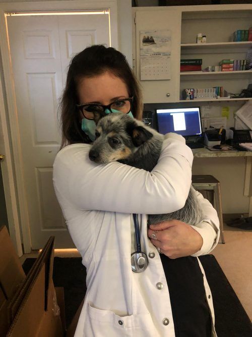 Veterinarian in a white coat embraces a blue heeler dog, both wearing masks, in an office setting.